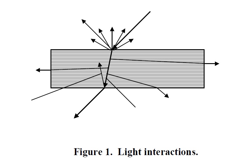 Light Interactions